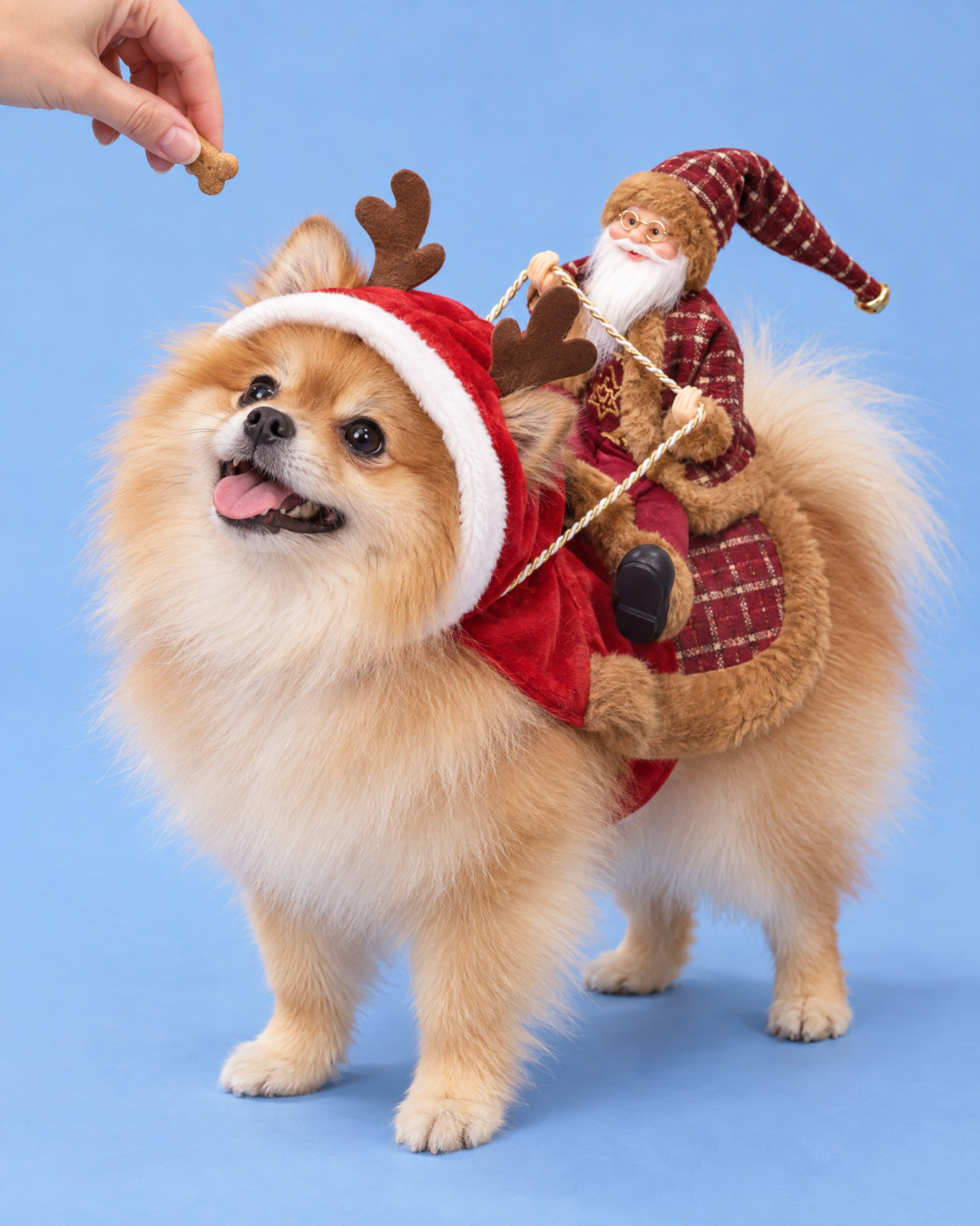The Santa Rider