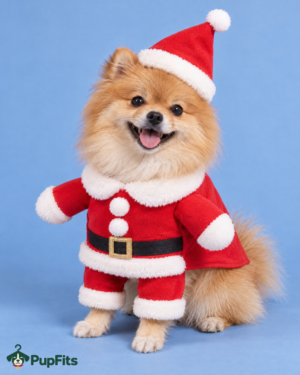 The Classic Claus