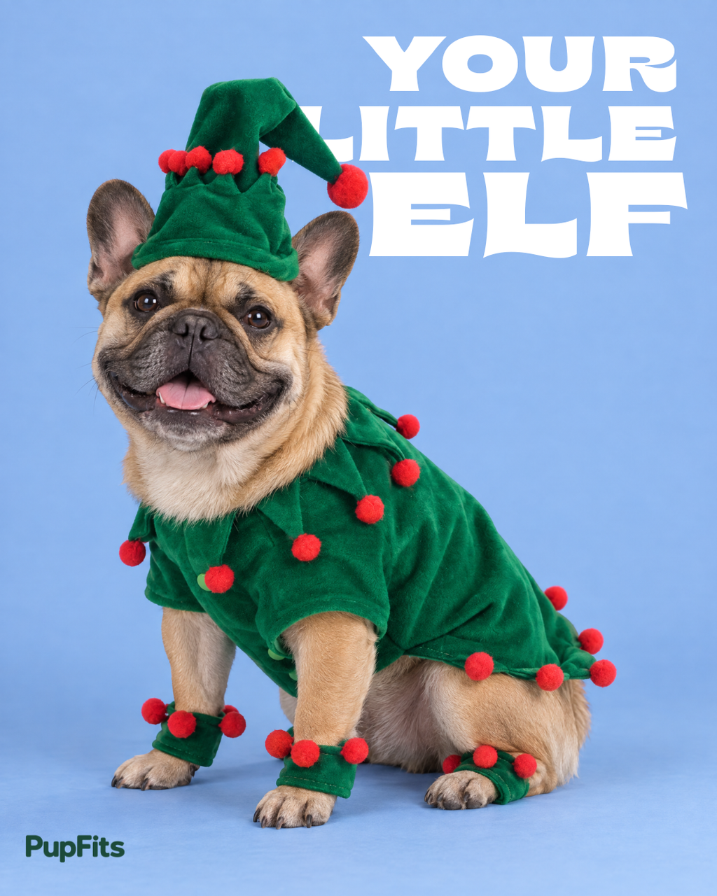 The Elf